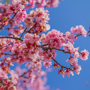 Meet your Posher, Janelle